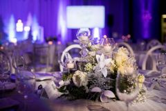 MLP_GilchristBall2022_0044