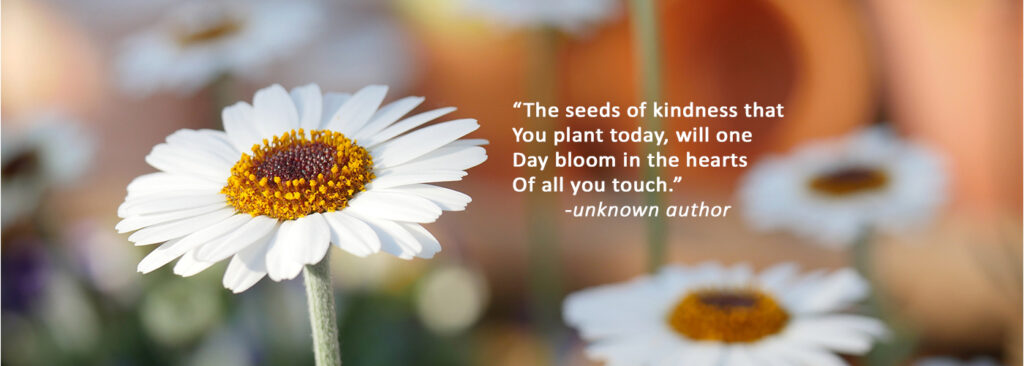 Volunteer week