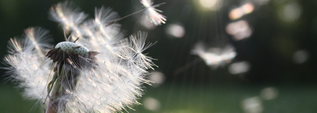 exceptional hospice care