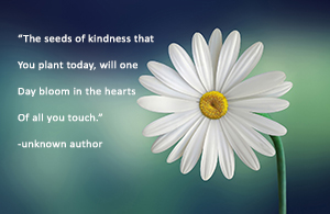 The seeds of kindness